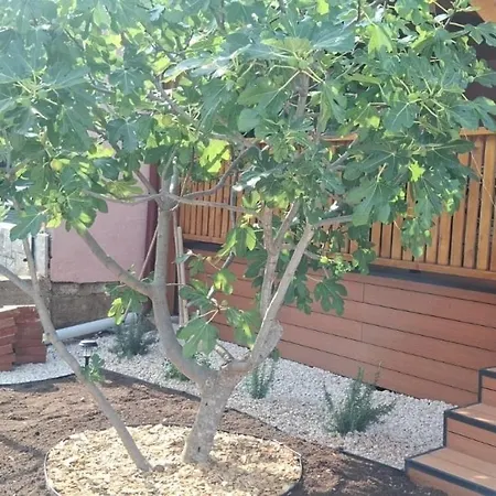 Ferienhaus Seaside House Mirca, Brac - 25279